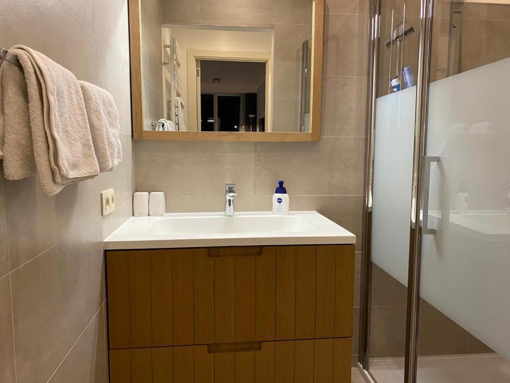 Spacious Studio Knokke-Heist Zewnętrze zdjęcie